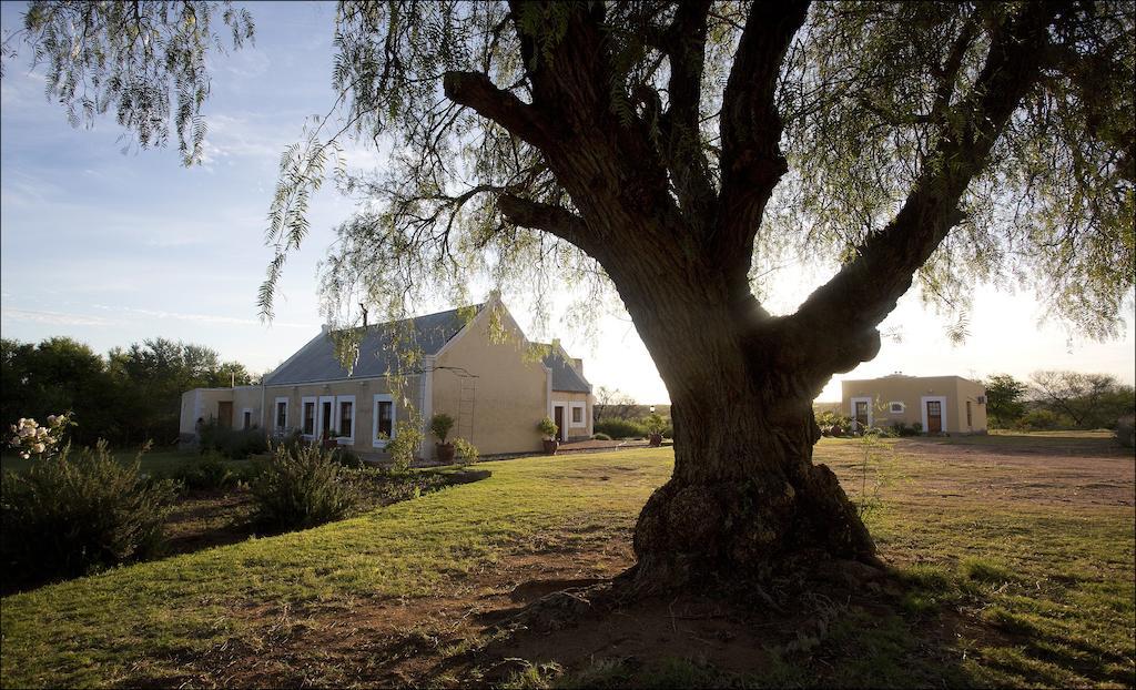 Rietfontein Ostrich Palace Vleirivier Esterno foto