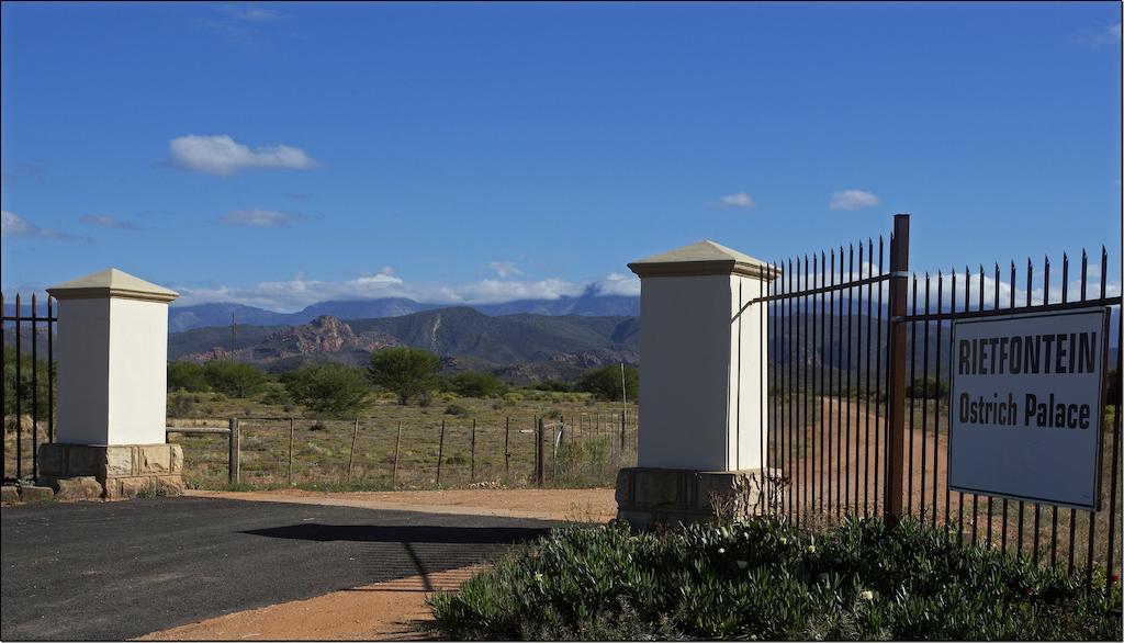 Rietfontein Ostrich Palace Vleirivier Esterno foto