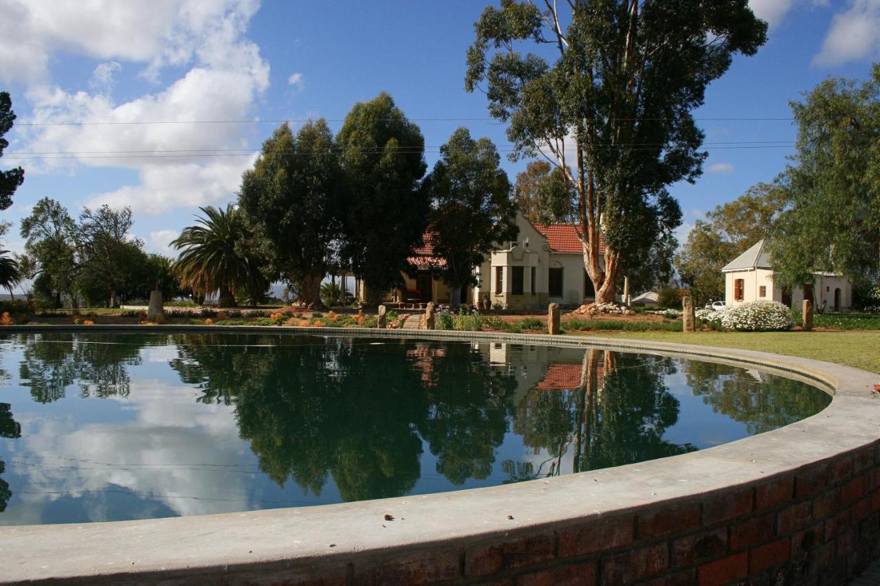 Rietfontein Ostrich Palace Vleirivier Esterno foto